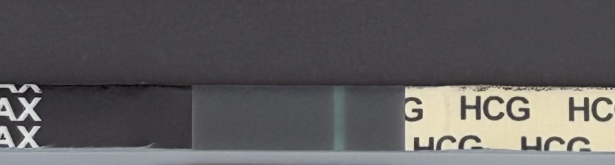 12-13DPO