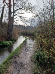 Come chat hiking with me!