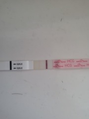 Gone back to test and looks positive anyone had this