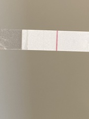 1dpo - Anyone want to join during the two week wait?