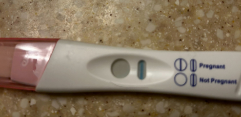 Early pregnancy test