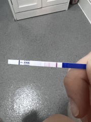 Please tell me if you think this is positive?