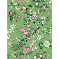 Help me choose my wallpaper?