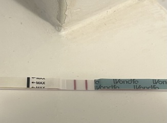 Anyone due to ovulate around Valentine's Day?
