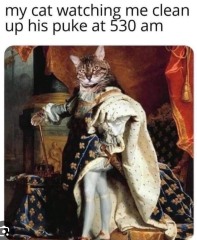 Cleaning up cat sick