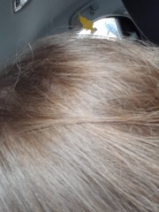 What colour would you say my hair is?