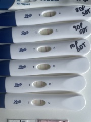 IVF / ICSI January 2024