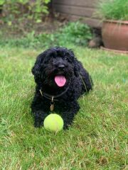 The happy Place Café is still open - 2024