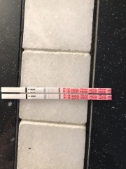 Anyone had darker lines in the afternoon or evening?