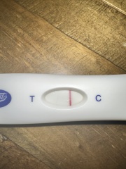 Is this positive? Vvfl