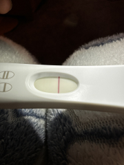 CD1 ttc after loss carry on thread #2