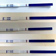 Tests not getting darker - 16dpo