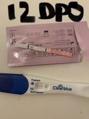 12DPO