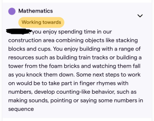 Nursery observation for a 2 year old 'working towards'. What does that mean? Behind?