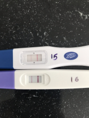 TTC February 2024 ✨