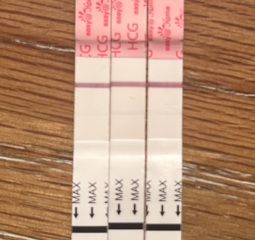 TWW... starting now!