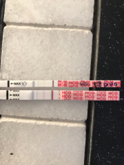 TTC February 2024 ✨