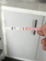 1 DPO TTC 1st - company for the TWW?