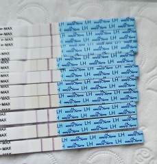 OPK and temps not matching up