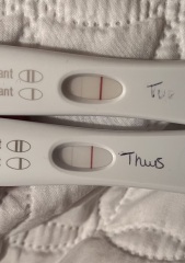 TWW... starting now!