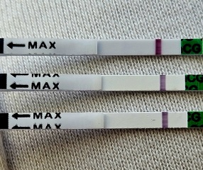 Anyone due to ovulate around Valentine's Day?