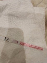 TTC February 2024 ✨