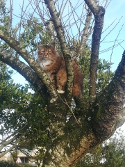 Amazing what you find on your bird table!!!