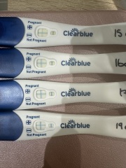 19dpo lines not progressing :(
