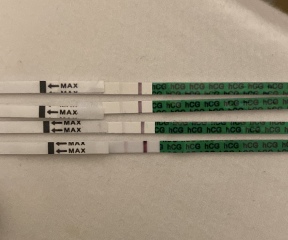 Evap line or positive?