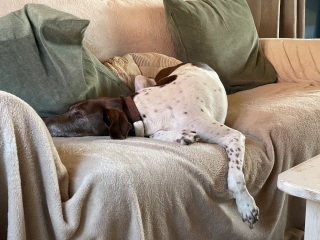 Stuck between life and death . TW suicide