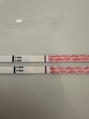 Testing, help!