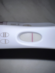 TTC February 2024 ✨