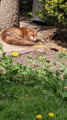 Come and tell me your dull and unexciting news 29: Calmly through the day