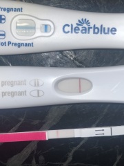 Faint positive Clear Blue