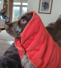 THE WAY. MON BBC 9pm. Tv pace. NO SPOILERS