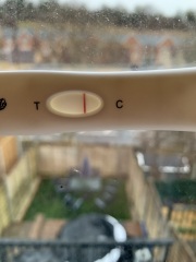 1 DPO TTC 1st - company for the TWW?