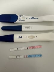 Testing, help!