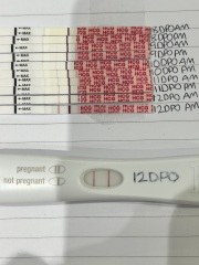Positive wondfo and easy at home but negative early digital