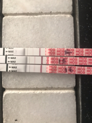 Anyone TTC Dec 2023…continued