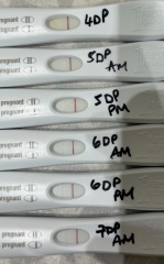 7dp5dt no progression? Help!