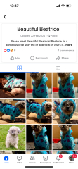 Reputable dog rescue centres - Norfolk or surrounding areas