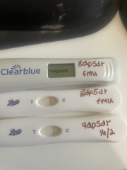 Tests not getting darker - 16dpo