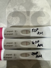 7dp5dt no progression? Help!