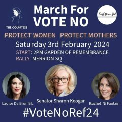 Gender Critical in Ireland Part 3