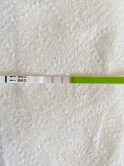 Is this a positive ovulation test?