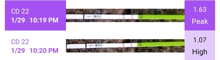 1dpo - Anyone want to join during the two week wait?