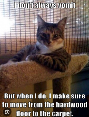 Cleaning up cat sick