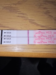 TTC February 2024 ✨