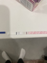 Tests not getting darker - 16dpo