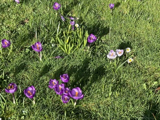 What have you done in the garden today? Part 3